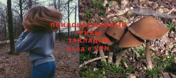 наркотики Богородицк