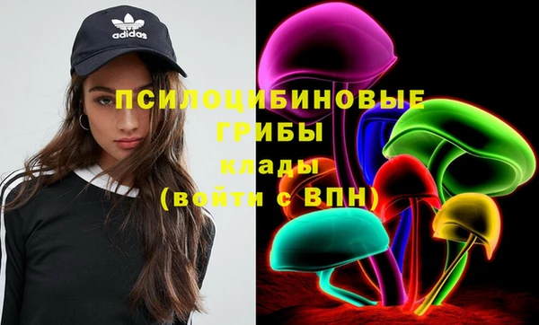бутират Богданович