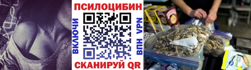 Купить закладки  Мариинский Посад  Галлюциногенные грибы мицелий 